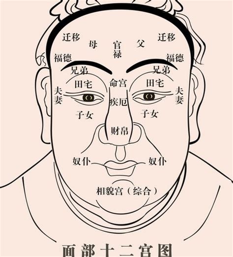 地閣潤意思|面相:淵源發展,面相與自然,由來及興起,基礎理論,相學原理,理論系。